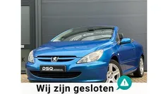 Gebruikt 2004 Peugeot 307 CC Cabriolet | € 2.950 (Eerlijke prijs)
