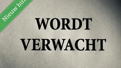 Gebruikt 2014 VW up! high up! Hatchback | € 9.450 (Eerlijke prijs)