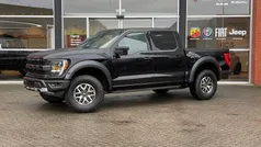 Gebruikt 2024 Ford F-150 Raptor Pickup | € 108.945
