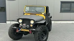 Geel Gebruikt 1992 Jeep Wrangler SUV | € 27.950