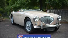 Gebruikt 1954 Austin Healey 100 Cabriolet | € 30.000