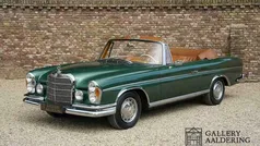 Groen Gebruikt 1964 Mercedes W111 SE | € 159.950