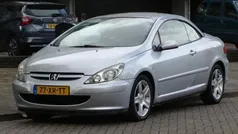 Grijs Gebruikt 2004 Peugeot 307 CC Cabriolet | € 2.249 (Eerlijke prijs)