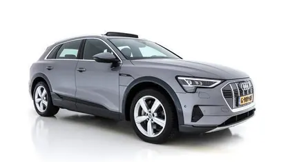 Taifungraumetallic (z7f) (grijs metallic) Gebruikt 2019 Audi e-tron Advanced SUV | € 23.845 (Super prijs)