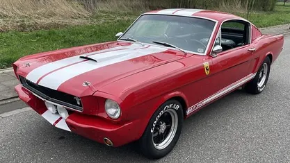 Occasion Ford Mustang Fastback 313 PK (230 kW) 1965 Coupé