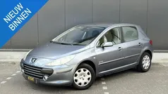 Grijs Gebruikt 2006 Peugeot 307 Hatchback | € 2.695 (Eerlijke prijs)
