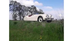 Jaguar XK