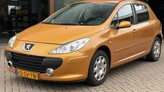 Gebruikt 2006 Peugeot 307 Hatchback | € 899 (Goede deal)