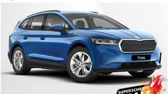 Blauw Nieuw 2025 Skoda Enyaq iV Business Line SUV | € 43.070 (Eerlijke prijs)