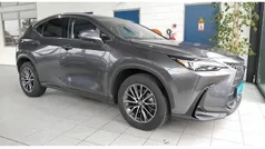 Beige Gebruikt 2024 Lexus NX450h+ Luxury Line SUV | € 50.950 (Super prijs)