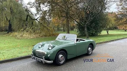 Gebruikt 1959 Austin Healey Frogeye | € 26.450
