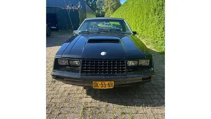 Occasion Ford Mustang 1979