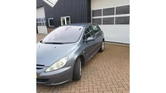 Gebruikt 2005 Peugeot 307 Premium Hatchback | € 1.100 (Goede deal)