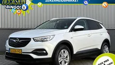 Wit Gebruikt 2019 Opel Grandland X Business SUV | € 16.735 (Eerlijke prijs)