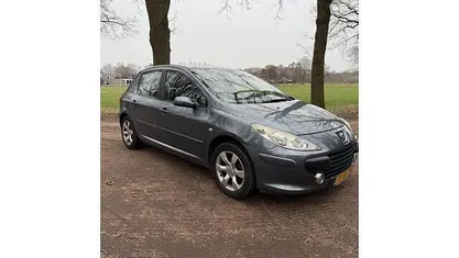 Occasion Peugeot 307 140 PK (102 kW) 2006 Grijs Hatchback