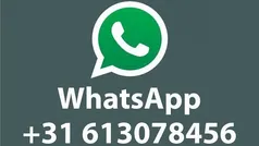 Gebruikt 2025 Ford Kuga ST-Line X SUV | € 42.370 (Goede deal)