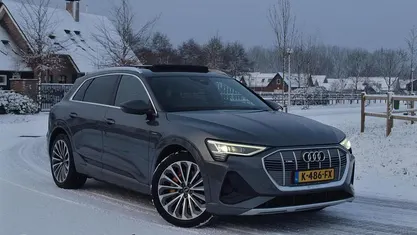 Occasion Audi e-tron Basis 11 kW (15 PK) 2020 Grijs SUV