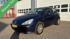 Blauw Gebruikt 2002 Peugeot 307 Hatchback | € 1.895 (Eerlijke prijs)