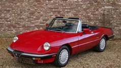 Rood Gebruikt 1988 Alfa Romeo Spider Cabriolet | € 26.500