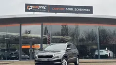 Grijs Gebruikt 2024 Skoda Karoq Business Line SUV | € 35.950 (Goede deal)