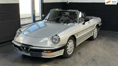 Grijs Gebruikt 1988 Alfa Romeo Spider Quadrifoglio Verde Cabriolet | € 17.950