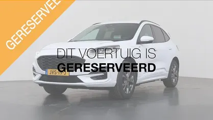 Occasion Ford Kuga ST-Line X 2026 Wit SUV