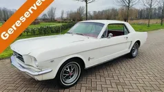 Gebruikt 1965 Ford Mustang | € 29.000