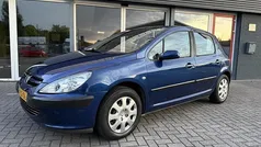 Blauw Gebruikt 2003 Peugeot 307 Hatchback | € 1.599 (Eerlijke prijs)