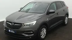 Gebruikt 2019 Opel Grandland X Enjoy SUV | € 14.500 (Eerlijke prijs)