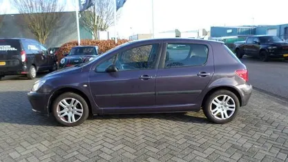 Gebruikt 2003 Peugeot 307 Hatchback | € 750 (Goede deal)