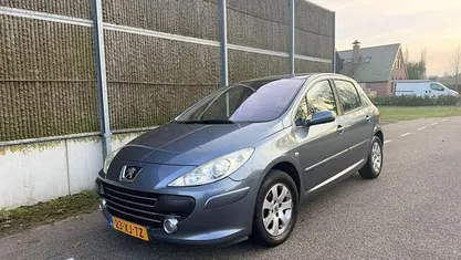 Occasion 2007 Peugeot 307 Premium Hatchback | € 2.450 (Eerlijke prijs)