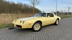 Geel Gebruikt 1981 Pontiac Firebird Coupé | € 16.950