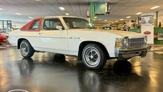 Gebruikt 1976 Buick Skylark Coupé | € 17.500