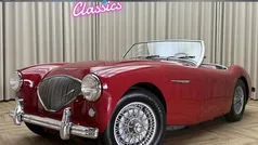Gebruikt 1956 Austin Healey 100 Cabriolet | € 29.950