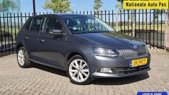Gebruikt 2016 Skoda Fabia Joy Hatchback | € 8.950 (Eerlijke prijs)