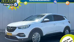 Wit Gebruikt 2020 Opel Grandland X Innovation SUV | € 17.935 (Eerlijke prijs)