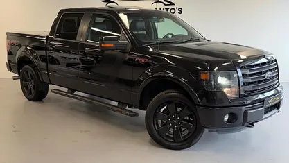 Occasion Ford V8 364 PK (267 kW) 2015 Overige Van