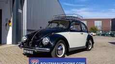 Gebruikt 1964 VW Beetle | € 11.500