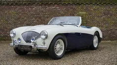 Wit Gebruikt 1955 Austin Healey 100 Cabriolet | € 85.950