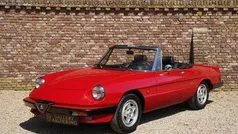 Rood Gebruikt 1990 Alfa Romeo Spider Cabriolet | € 23.750