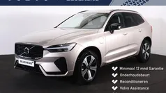 Beige Gebruikt 2024 Volvo XC60 Plus SUV | € 57.900 (Eerlijke prijs)
