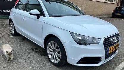 Occasion Audi A1 Sportback 86 PK (63 kW) 2013 Hatchback