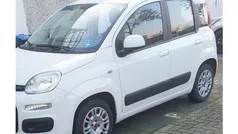 Wit Gebruikt 2014 Fiat Panda Hatchback | € 8.245 (Eerlijke prijs)