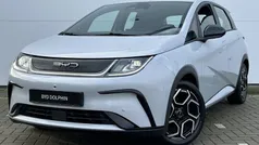 Overige Nieuw 2025 BYD Dolphin Comfort Hatchback | € 33.690 (Eerlijke prijs)