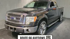 Grijs Gebruikt 2010 Ford F-150 Pickup | € 9.600 (Eerlijke prijs)