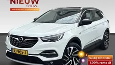 Wit Gebruikt 2019 Opel Grandland X Ultimate SUV | € 16.930 (Eerlijke prijs)