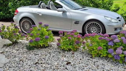 Zilver (metallic) Occasion 2009 Mercedes SLK200 Prestige Cabriolet | € 9.250 (Super prijs)