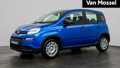 Hatchback Nieuw 2025 Fiat Panda Hatchback | € 19.945 (Goede deal)