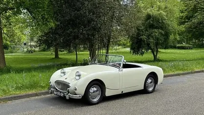 Occasion Austin Healey Frogeye 44 PK (32 kW) 1959