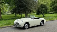 Gebruikt 1959 Austin Healey Frogeye | € 24.750